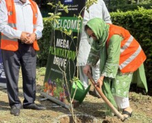 Tree Plantation Drive